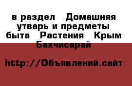  в раздел : Домашняя утварь и предметы быта » Растения . Крым,Бахчисарай